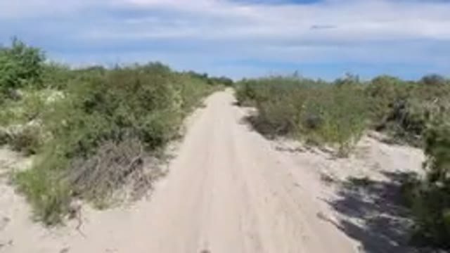 LOS CABOS MEXICO-2019: Vehicle Moves Down Dirt Path in Dry Conditions with Shrubs on Sides