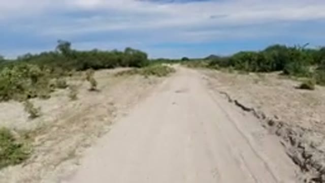 LOS CABOS MEXICO-2019: Vehicle Moves Down Dirt Path in Dry Conditions with Shrubs