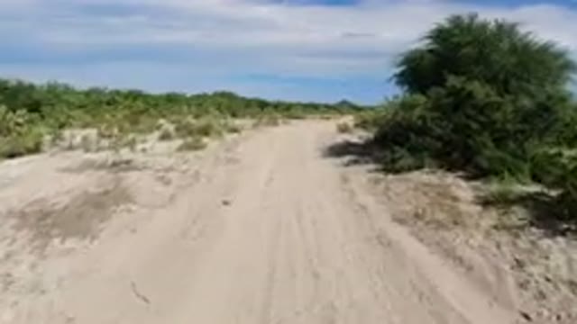 LOS CABOS MEXICO-2019: Driving Along A Sandy Road In The Middle Of The Bushes