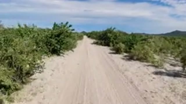 LOS CABOS MEXICO-2019: View Of Person Reading From The Wrangler