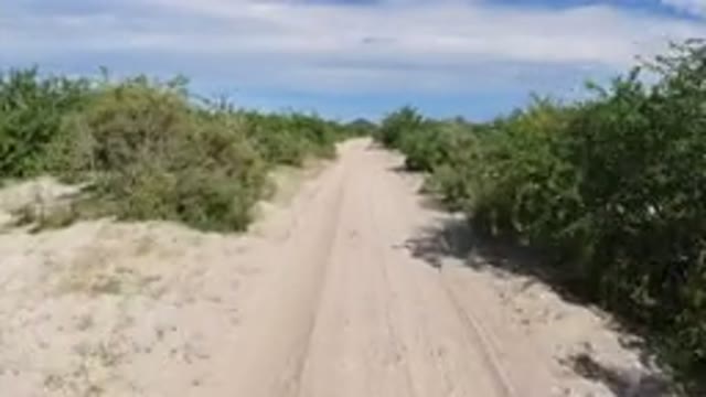 LOS CABOS MEXICO-2019: Camera Footage From Cycling In Desert On Hot Day