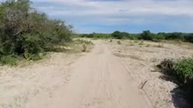 LOS CABOS MEXICO-2019: Fast And Fun Scenic View On Dry Desert Terrain