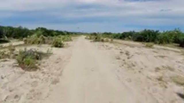 LOS CABOS MEXICO-2019: A Trip Through The Vast Land With Green Bushes On A Sunny Day