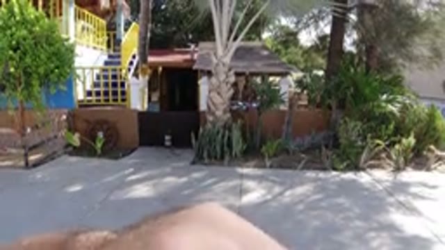LOS CABOS MEXICO-2019: Static Recording Of An Abandoned House With Plants And