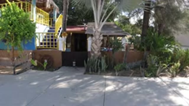 LOS CABOS MEXICO-2019: A View Of A House With Trees Grass And Colorful Stairs