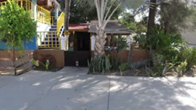LOS CABOS MEXICO-2019: Street View Of Tropical Shack Hidden Behind Palm Trees