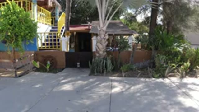 LOS CABOS MEXICO-2019: Front Of A House Surrounded By Trees And Vegetation In A