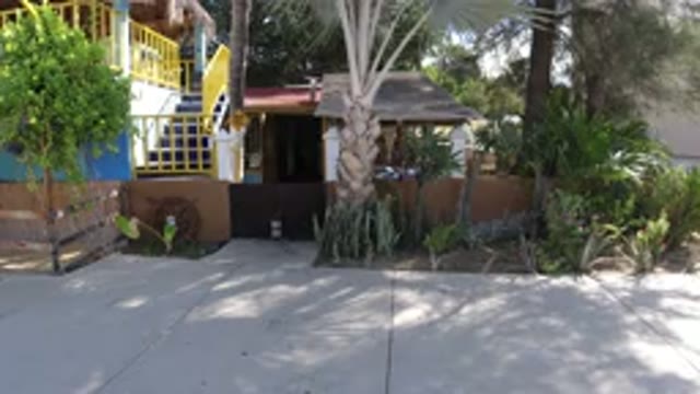 LOS CABOS MEXICO-2019: Video Of A Palm Tree In Front Of A Market Stall And House