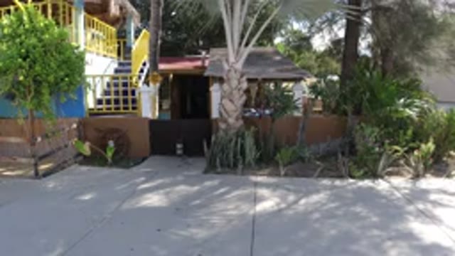 LOS CABOS MEXICO-2019: Yellow One-Floor House Surrounded by Trees