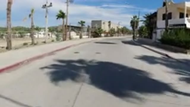 LOS CABOS MEXICO-2019: Driving In The Sunny Streets Surrounded By Palm Trees