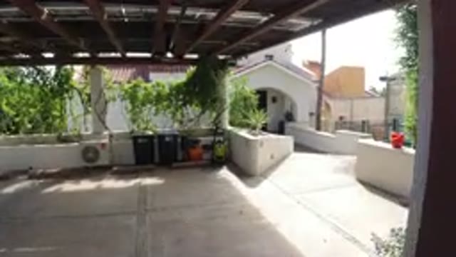LOS CABOS MEXICO-2019: A Beautiful Garden Inside A House In The Middle Of A