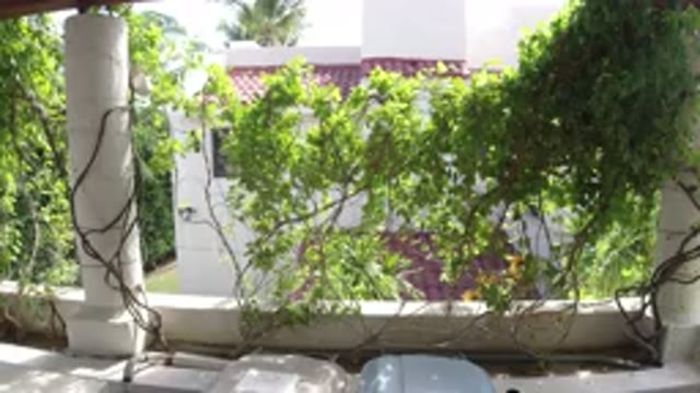 LOS CABOS MEXICO-2019: A House Where Trees Have Been Planted