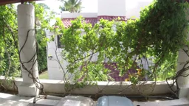 LOS CABOS MEXICO-2019: A Sunlit Garden At A Residential Home