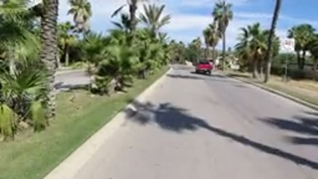 LOS CABOS MEXICO-2019: An Accelerated Detachment On A Street Surrounded By Palm Trees