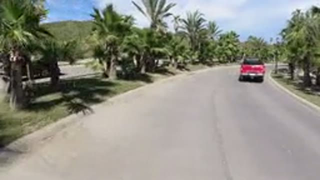 LOS CABOS MEXICO-2019: Dash Cam Following Red Truck Along Palm Tree Lined Road