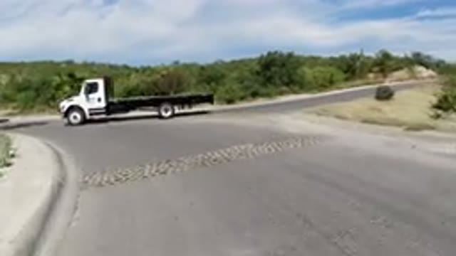 LOS CABOS MEXICO-2019: Wrangler Walking On Streets With Lots Of Trees Around