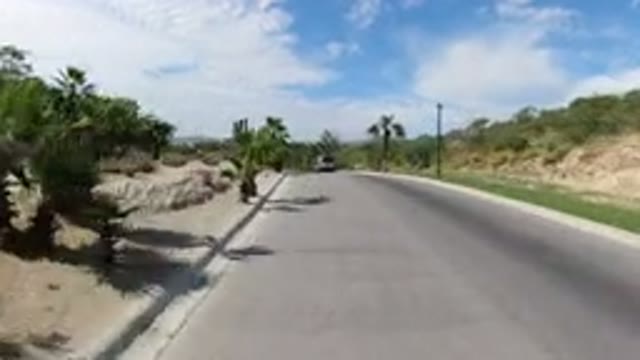 LOS CABOS MEXICO-2019: Wrangler Driving on Road Past Cacti and Trees
