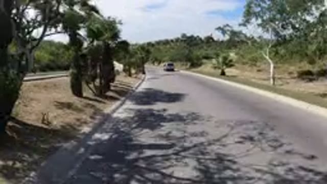 LOS CABOS MEXICO-2019: Traveling Fast Along Road Zooming Past Trees Following