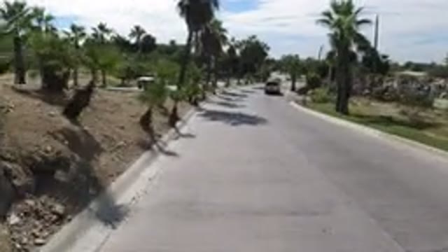 LOS CABOS MEXICO-2019: Camera Racing Down A Street Way And Approaching A Van