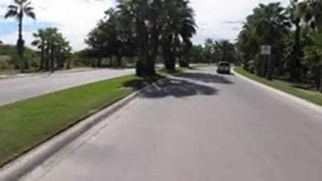 LOS CABOS MEXICO-2019: Driving Quietly Down The Avenue Full Of Coconut Trees And