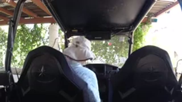 LOS CABOS MEXICO-2019: All Terrain Vehicle Driver Puts On Seat Belt Prior To Starting