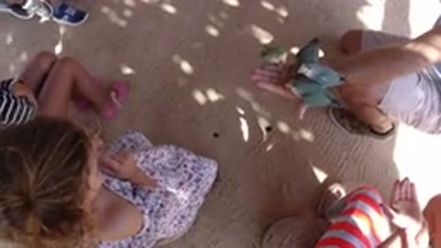 LOS CABOS MEXICO-2019: Kids Are Watching The Pet Birds Sitting On The Hand Of A