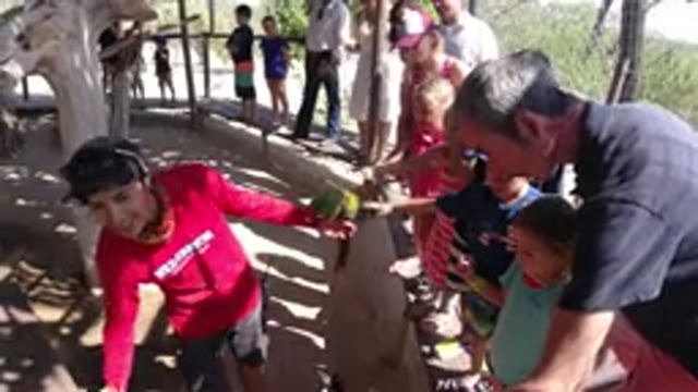 LOS CABOS MEXICO-2019: Kids With Their Parent At A Petting Zoo Touching Two Parrots