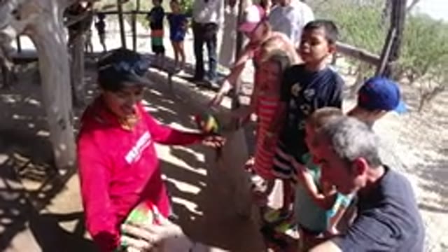 LOS CABOS MEXICO-2019: Man Showing Birds To Children And They Thoroughly Enjoy