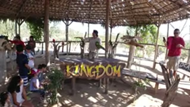 LOS CABOS MEXICO-2019: Woman Teaches Kids About Green Parakeet