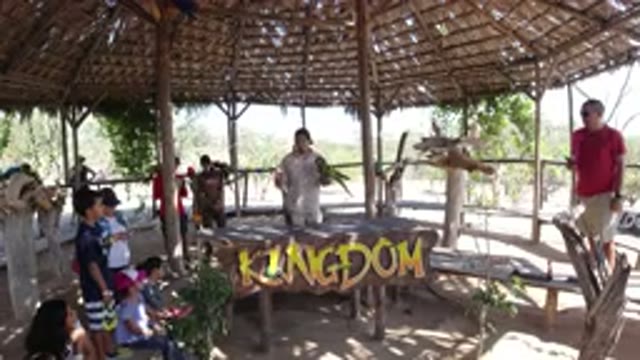 LOS CABOS MEXICO-2019: People Are Watching A Parrot Show
