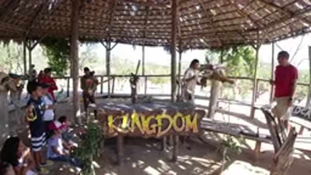 LOS CABOS MEXICO-2019: Come See The Bird Kingdom And Get Ready To Be Amazed