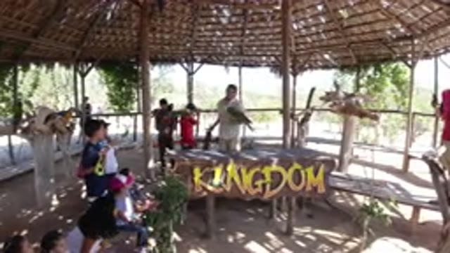LOS CABOS MEXICO-2019: Children Visit A Man With A Parrot And Enjoyed His Show