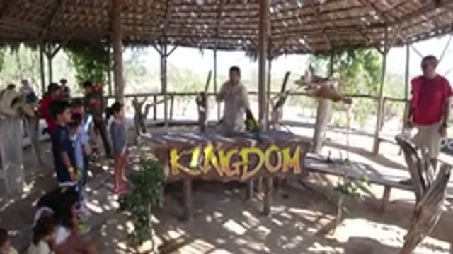LOS CABOS MEXICO-2019: Man Playing With Parrot and Children Watching