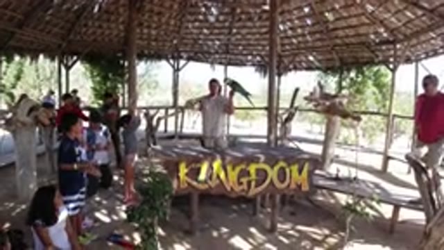 LOS CABOS MEXICO-2019: An Audience Observes A Man On Stage With A Macaw Bird