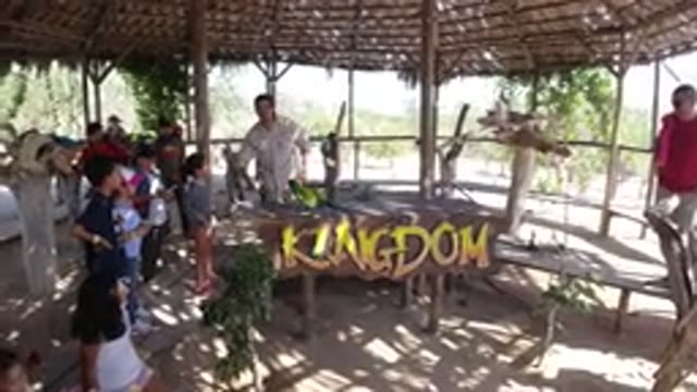 LOS CABOS MEXICO-2019: A Man Interacts With A Parrot At A Table