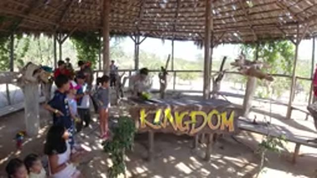 LOS CABOS MEXICO-2019: Visit To Animal Zoo Featuring A Parrot And Trainer