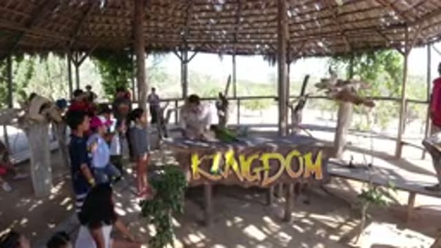 LOS CABOS MEXICO-2019: Man Plays With A Parrot And Children Are Enjoying