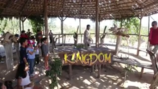 LOS CABOS MEXICO-2019: Parrot Display In A Safari