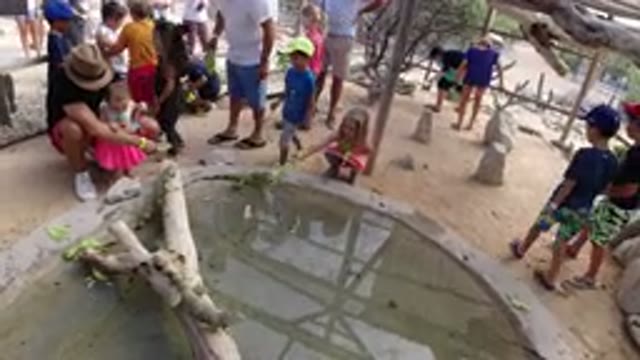 LOS CABOS MEXICO-2019: People At Zoo Enjoying A Relaxed Day