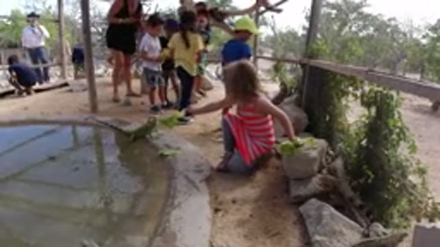LOS CABOS MEXICO-2019: Kids Playing At Park Resort Near Small Water Pond