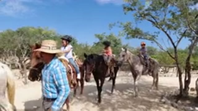 LOS CABOS MEXICO-2019: Three Horses Tied Together With Children On Them Lead By