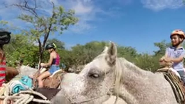 LOS CABOS MEXICO-2019: Children Seen Sitting On And Riding Horses In The Daytime