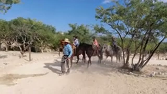 LOS CABOS MEXICO-2019: A Child Enjoys a Horse Ride in the Open Landscape
