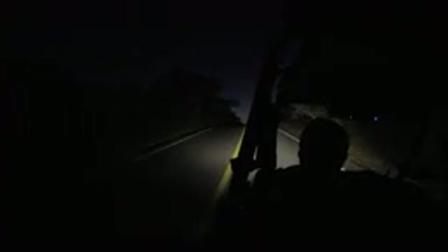 LOS CABOS MEXICO-2019: Man Driving Vehicle at Night with Trees on Both Sides of Empty Road