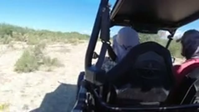 LOS CABOS MEXICO-2019: Vehicle Riding Through Desert Like Conditions Trees And Shrubs