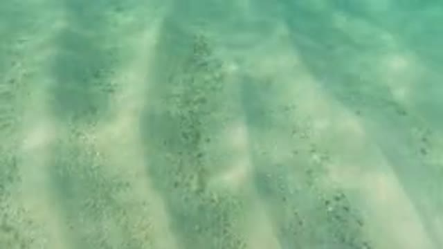 LOS CABOS MEXICO-2019: Recording Underwater Alone Of The Land In A Summer Day