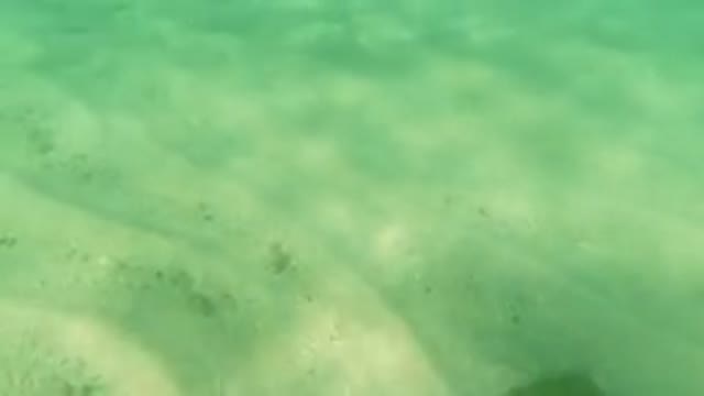 LOS CABOS MEXICO-2019: Video Of A See Through Body Of Water And It Has A Sandy