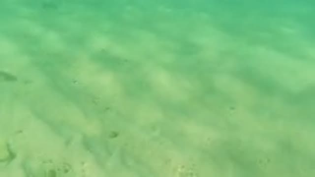 LOS CABOS MEXICO-2019: Shallow Crystal Clear Water With Small Streams Barely