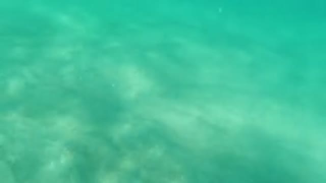 LOS CABOS MEXICO-2019: Blue Water Sea On The Sand Water Floating The Water Sea