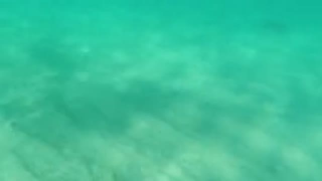 LOS CABOS MEXICO-2019: Water Is Captured Under The Sand
